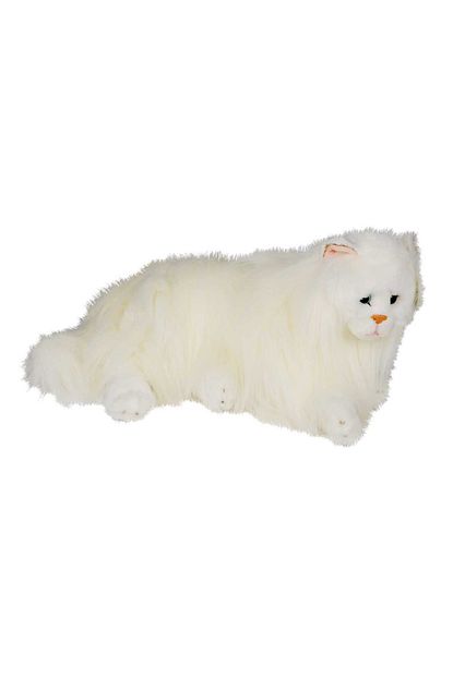 beyaz kedi fiyatlari