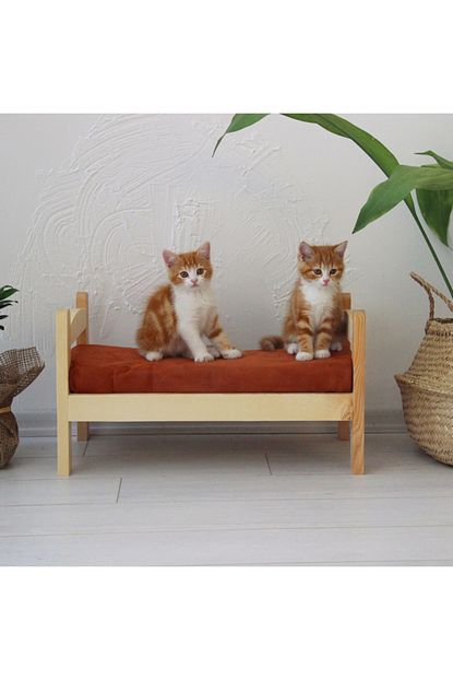Bubo Decor Masif Ahsap Duvar Kedi Yatagi Trendyol
