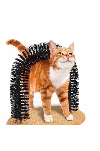 Pet Zoom Petzoom Purrfect Arch Kedi Tirmik Tahtasi Trendyol