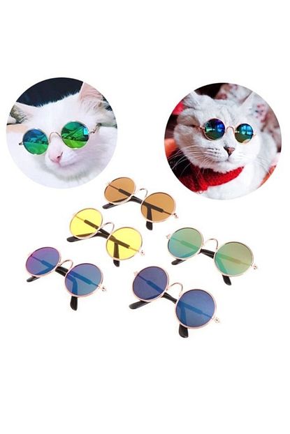 Nunbell Kedi Kopek Gozluk Trendyol