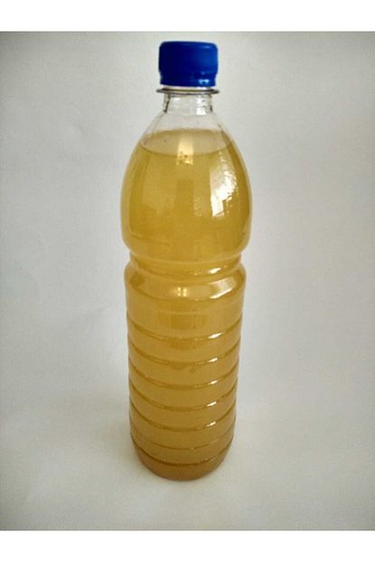 Erastam Katkisiz Saf Dogal Fermente Ev Yapimi Elma Sirkesi 1 Litre Trendyol