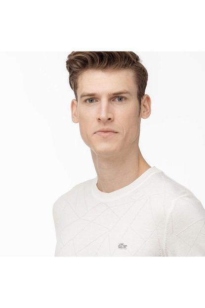 Lacoste Erkek Beyaz Bisiklet Yaka Beyaz Triko Kazak Trendyol