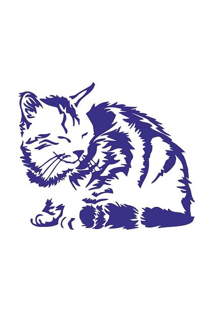 Sticker Fabrikasi Kedi Sticker 00425 17 5x15 Cm Trendyol