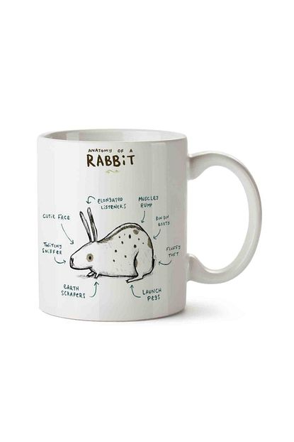 tavsan anatomisi anatomy of a rabbit porselen kupa bardak