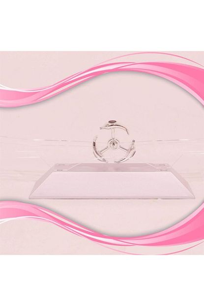 Rennway Dekoratif Masa Ustu Obje Manyetik Kinetik Orbital Donen Yunuslar Trendyol