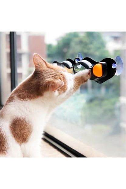 5dmarket vantuzlu toplu kedi oyun tuneli pencereye asilan labirent kedi oyuncagi fiyati yorumlari trendyol