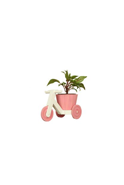 Ercans Garden Pembe Dekoratif Bisiklet Seklinde Saksilik Trendyol