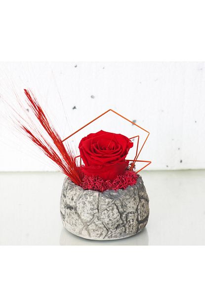 Nar Flowers Gift Mini Tasarim Solmayan Gul Aranjmani Trendyol