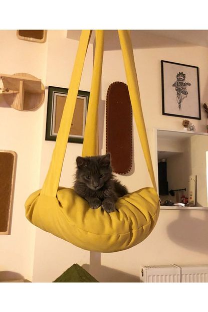 Pet Style Kedi Yatagi Salincakli Trendyol