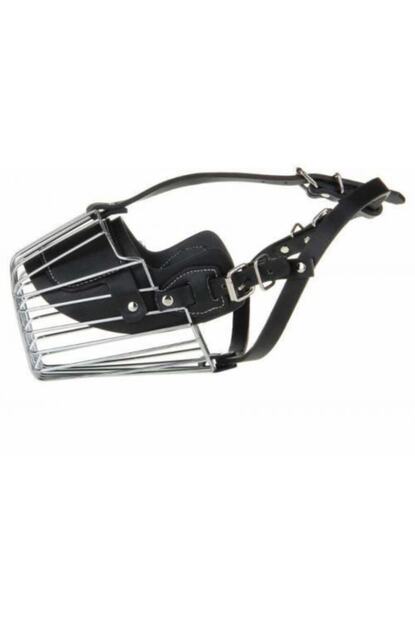 Ans Iri Irk Metal Kopek Agizligi 32 Cm Small Siyah Trendyol
