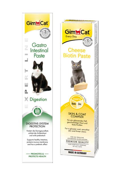 Gimcat Gastro Intestinal Paste 50 Gr Cheese Paste Biotin Peynirli Kedi Macunu 50 Gr Trendyol