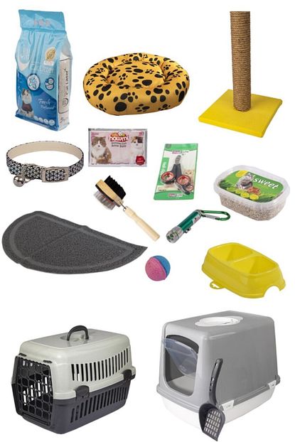 Olay Pet Kedi Baslangic Seti 15 Parca Gri Trendyol
