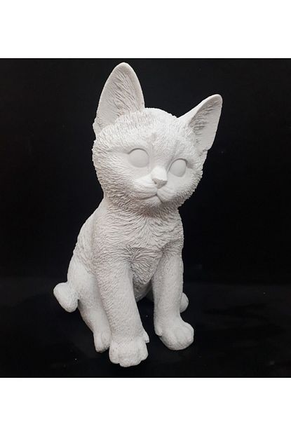 https www trendyol com biblo sepeti polyester kedi biblo p 47314449