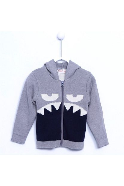 Silversun Bebek Erkek Kapsonlu Hirka T 110886 Trendyol