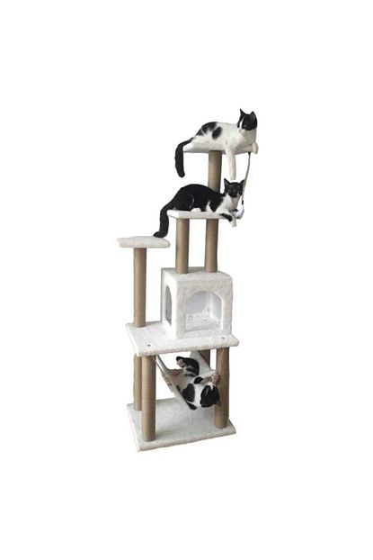 pethome kedi tirmalama evi ve oyun