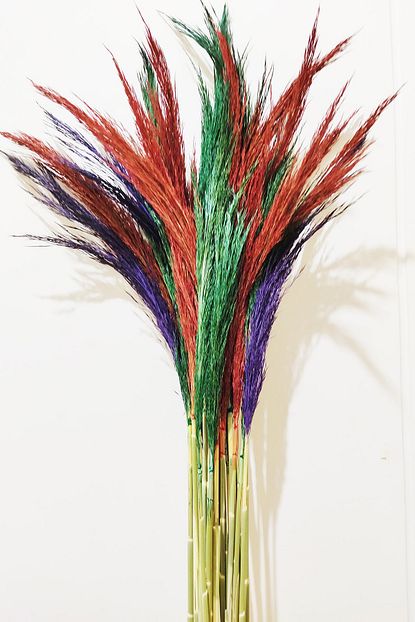 Ecicek Soklanmis 15li Pampas Otu Karisik Renk 100 Cm Trendyol