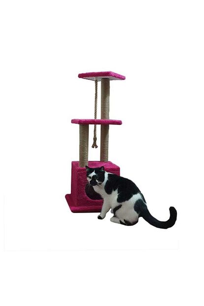 Pethome Kedi Tirmalama Evi Ve Oyun Platformu Trendyol