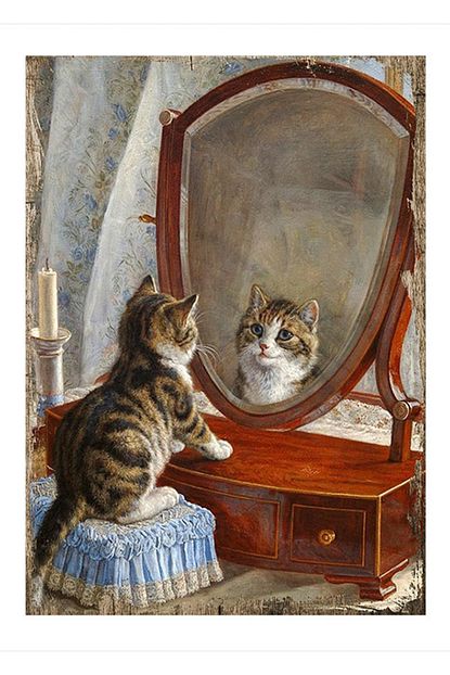 https www trendyol com cakatablo 50cmx70cm ahsap tablo aynaya bakan kedi p 4298879