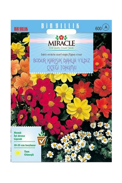 https www trendyol com miracle karisik renkli bodur dahlia yildiz cicegi tohumu 80 tohum p 32842145