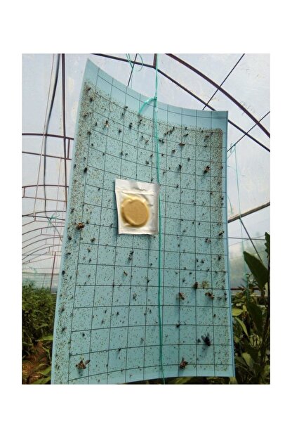 botanika trips mucadalesi icin feromon ve tuzak takimi fiyati yorumlari trendyol