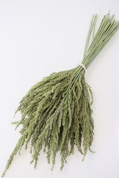 yapay cicek deposu kuru cicek kus yemi bitkisi 45 cm naturel fiyati yorumlari trendyol