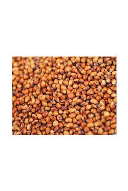 agrobazaar sorgum sudan otu tohumu 5 kg fiyati yorumlari trendyol