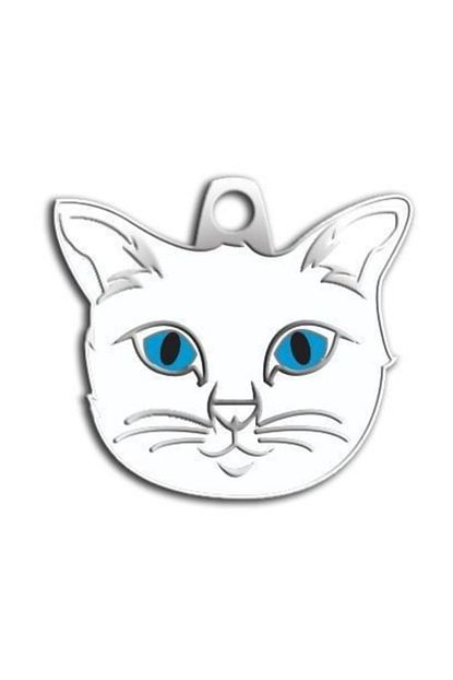 dalis ankara kedisi kedi kunyesi fiyati