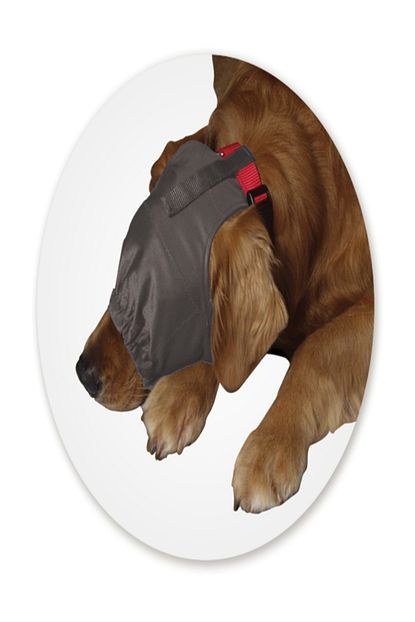 thundershirt kopekler icin sakinlestirici baslik s fiyati yorumlari trendyol