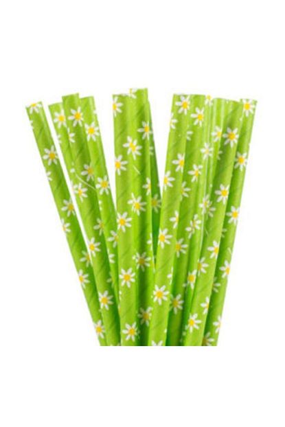 desenli 25 li kagit pipet