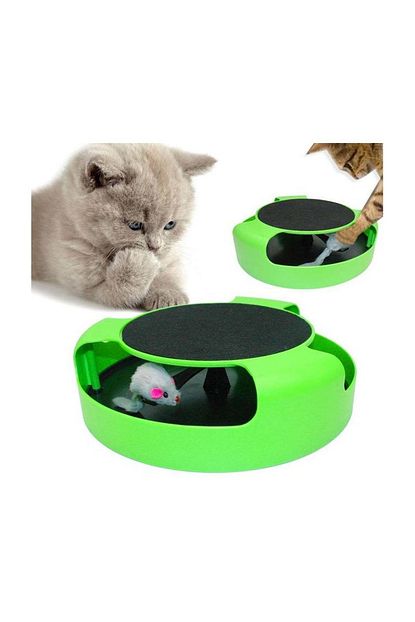 smile express catch the mouse kedi fare