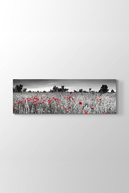siyah beyaz gelincik tarlasi tablosu model 4 olcusu 150x50 cm