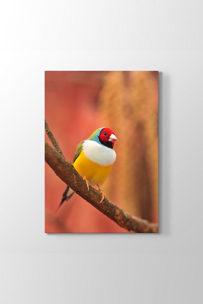 tabloshop saka kusu tablosu model 2 olcusu 50x75 cm fiyati yorumlari trendyol