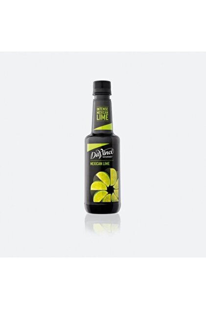 DaVinci Gourmet Davinci Intense Mexıcan Lime 375 ml - Fiyatı