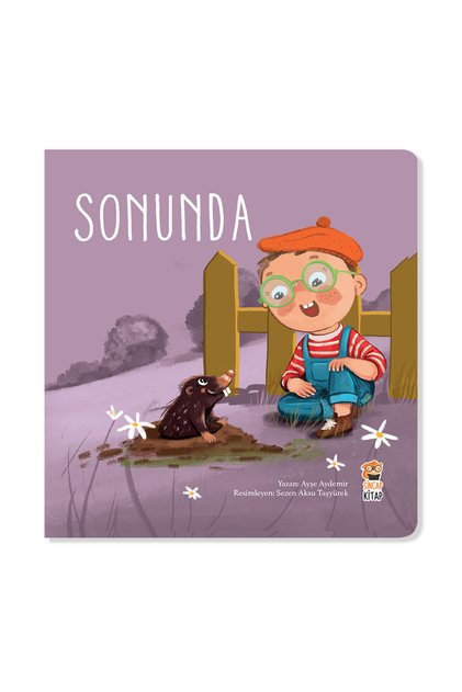 How Did It All Start?-The Baby Story Book at the End-Sense of Accomplishment 0-2 Years Old