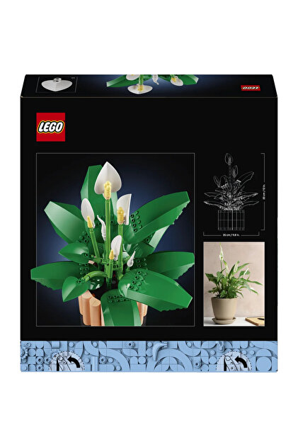 LEGO ® Botanicals Barış Çiçeği 11504 - Yetişkinler için Dekoratif