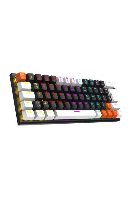 Parley Siyah/Beyaz Rainbow Aydınlatmalı RED Switch Mekanik Kablolu Oyuncu Klavyesi