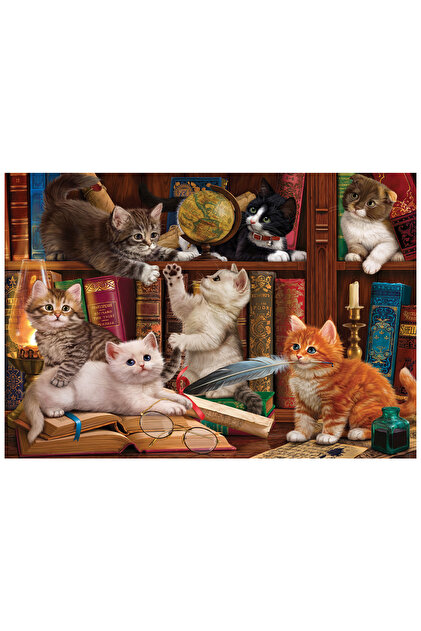 Anatolian Puzzle 500 Parça Yapboz Puzzle - Kediler ve Kitaplar