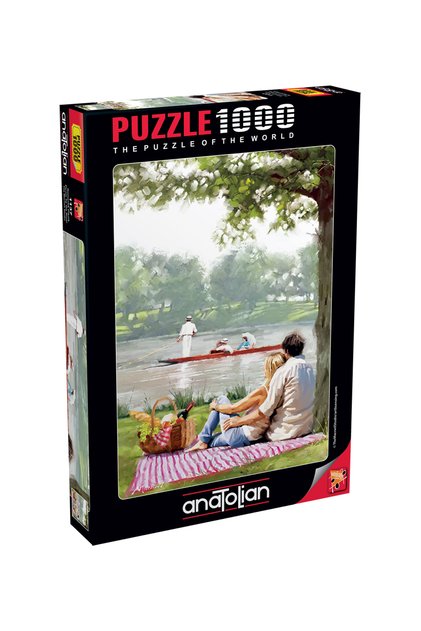 1000 Piece Jigsaw Puzzle - Romantic Picnic 1137