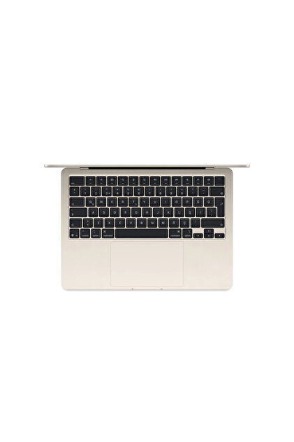 Apple 13