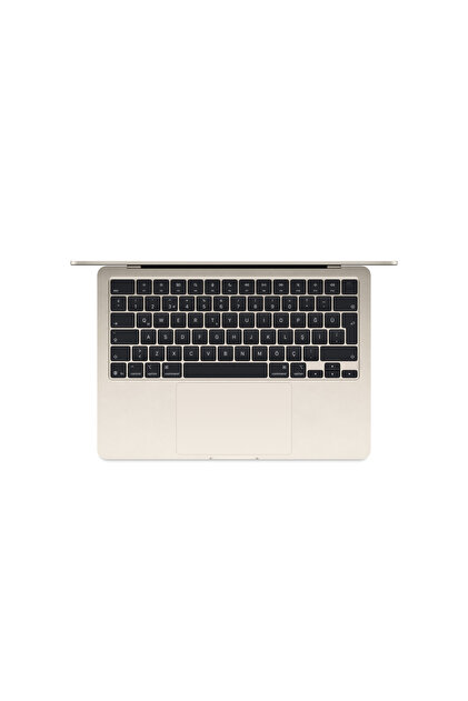 Apple 13