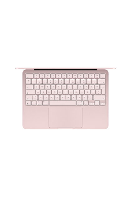 Apple 13