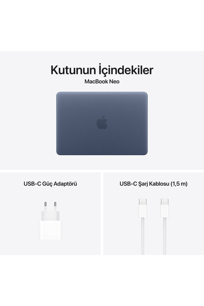 Apple 13