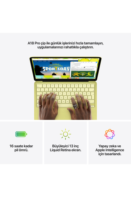 Apple 13