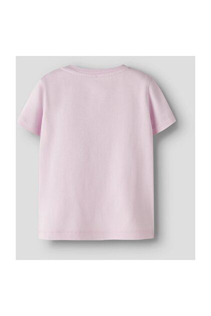 NMFDOTTAS SS TOP