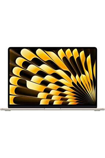 Apple 13