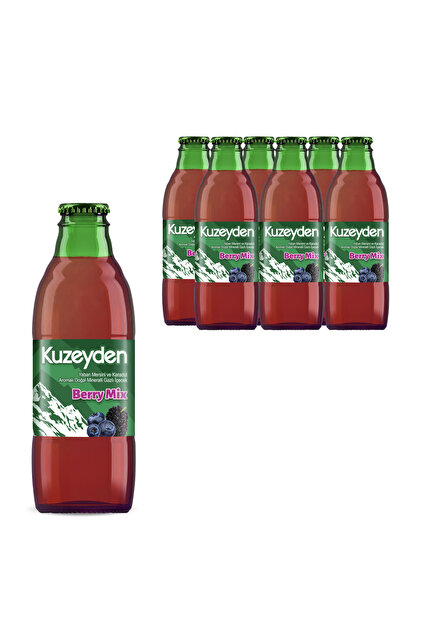 KUZEYDEN Berry Mix Doğal Mineralli Gazlı İçecek | Yaban Mersini