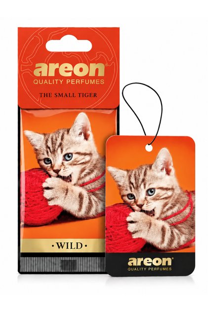 Wild The Small Tiger Oto Araç Kokusu