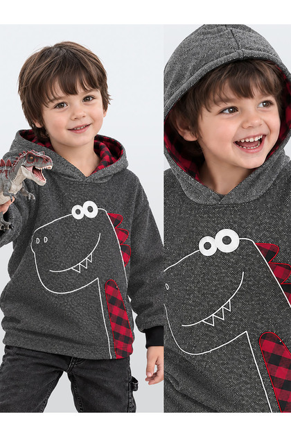 Boys Winter Dinosaur and Plaid Print Grey Hooded Long Sleeve Sweatshirt 2-7 Years