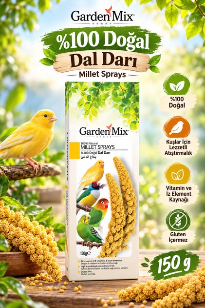 Platin Sarı Dal Darı