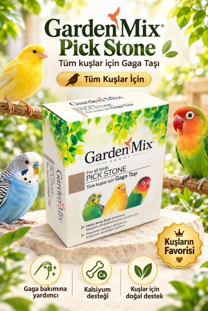 Gaga Taşı